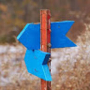 Meet your Posher, Connor